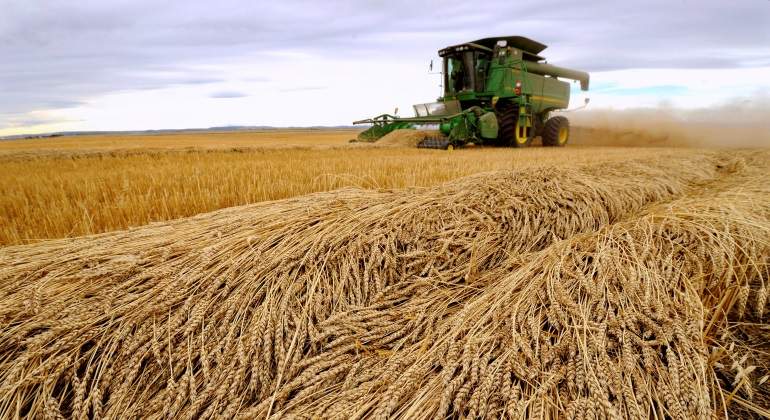 Campo-canadiense-Reuters.jpg
