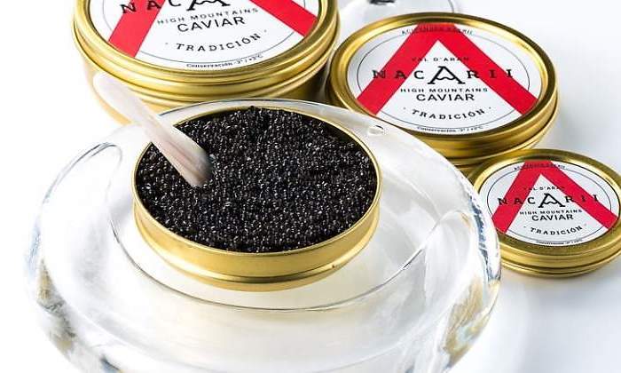 caviar-nacarri-1.jpg