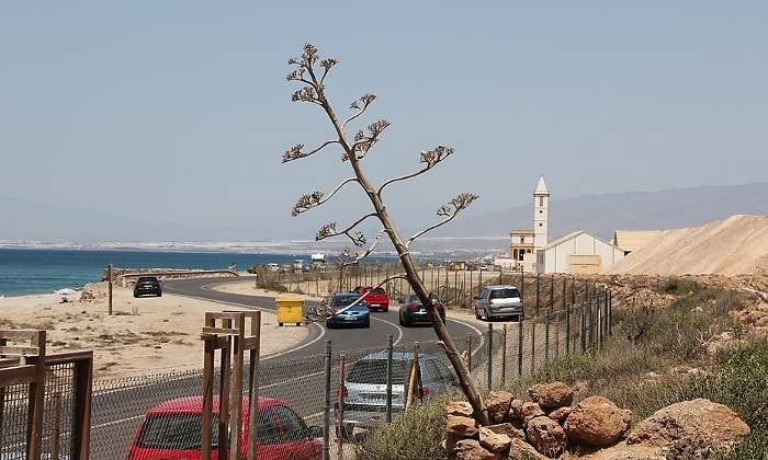 carreteras-mas-espectaculares-espana-autocaravana-1.jpg