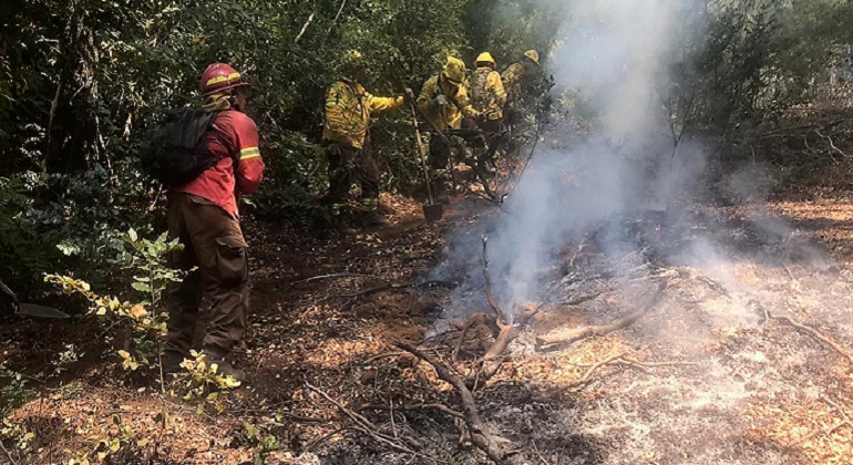 incendio-forestal-efe-archivo.png