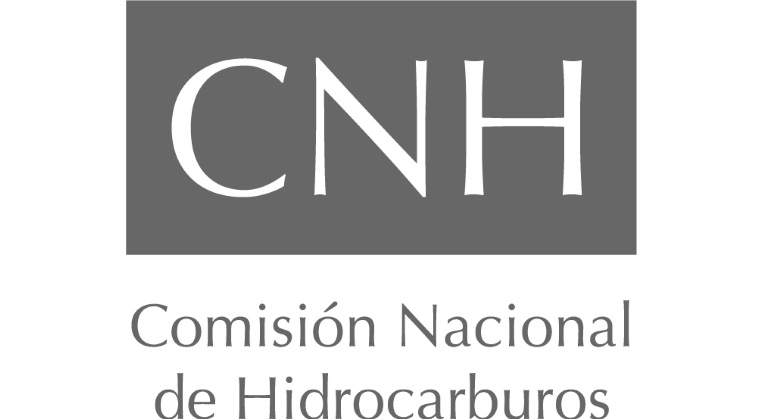 CNH-770.jpg