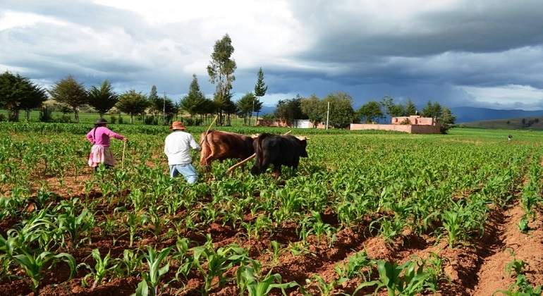 agro770.jpg