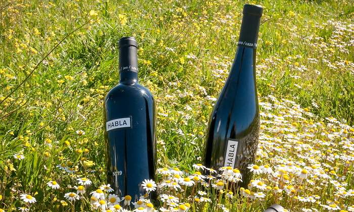 770x420-bodegas-habla-botella-vino-n18.jpg
