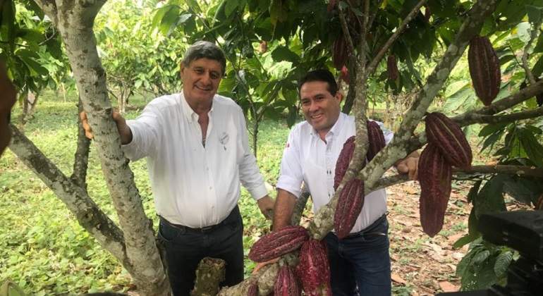 RDC-Cacao.jpg