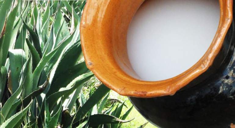 Pulque-770.jpg