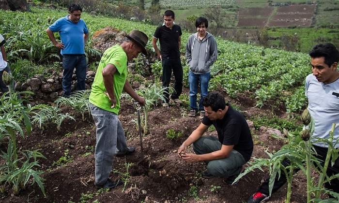 GASTRONOMiA-SOLIDARIA.jpg