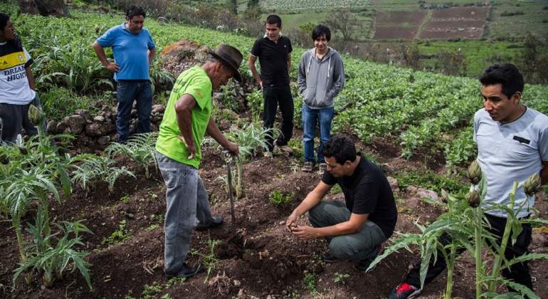 GASTRONOMiA-SOLIDARIA.jpg