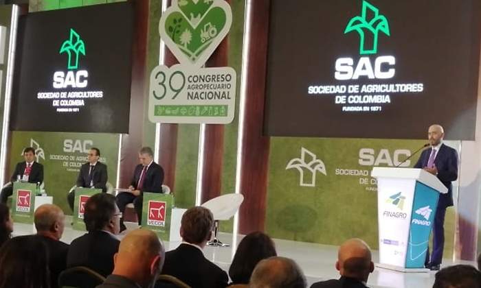 jorge bedoya congreso