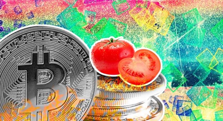 Cryptotomates-770.jpg
