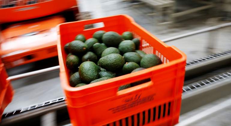 aguacate-mexico-exportacion-reuters.jpg