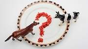 carne-caballo-vaca-getty.jpg