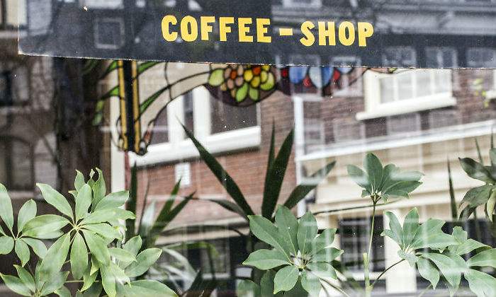 coffee-shop-amsterdam.jpg