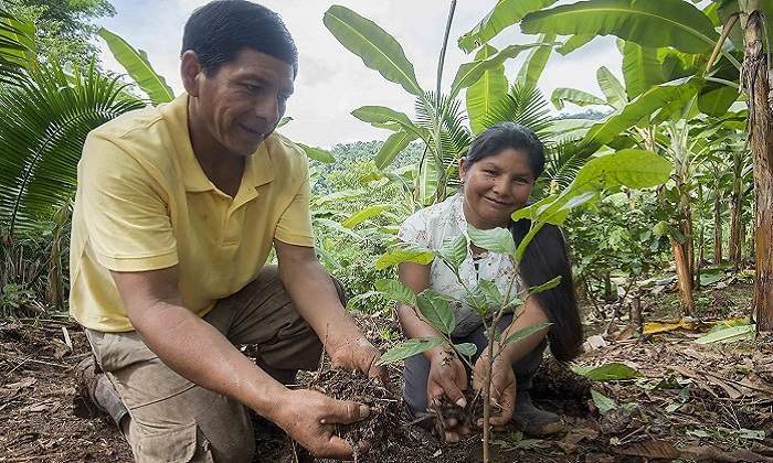 cacao_770.jpg