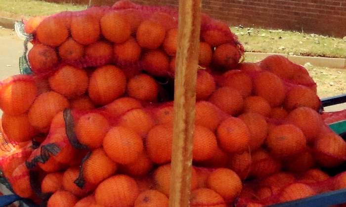 naranjas-reuters.jpg