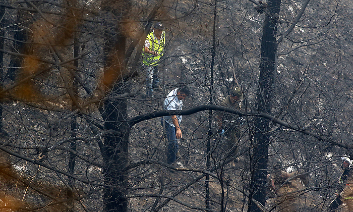 incendio-forestal-efe.png