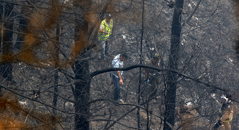 incendio-forestal-efe.png