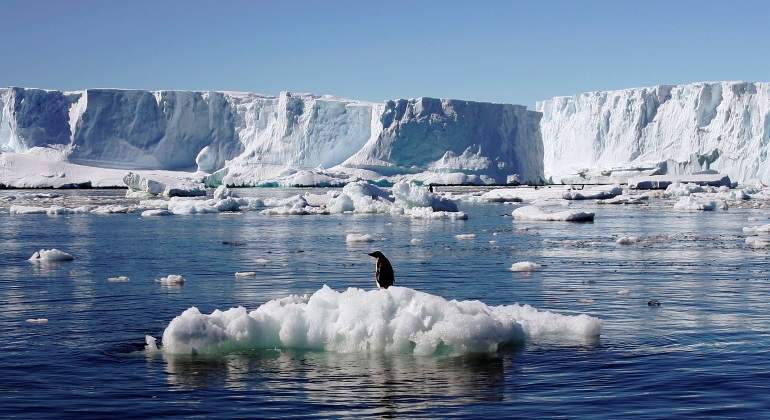 Muerte masiva de crías de pingüinos en Antártida; sobreviven 2 Muerte masiva de crías de pingüinos en Antártida; sobreviven 2
