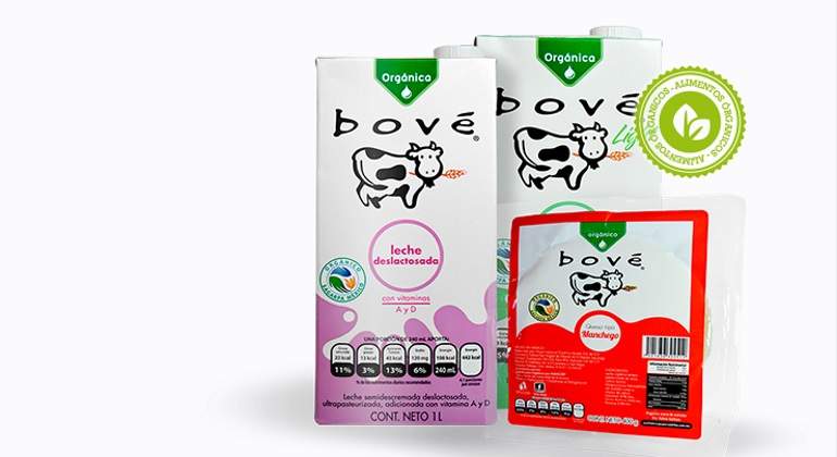 Bove-grupo-cuadritos-770.jpg