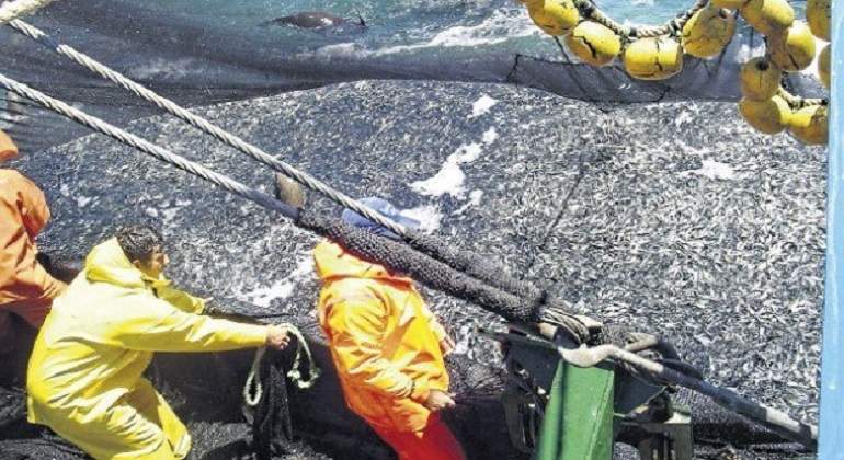 pesca770.jpg