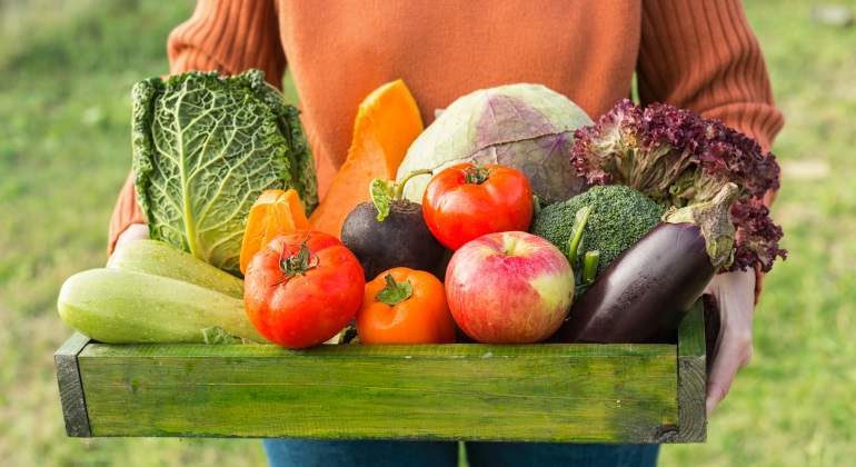 Agropecuarios-istock-770.jpg