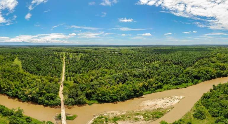paisaje palmero