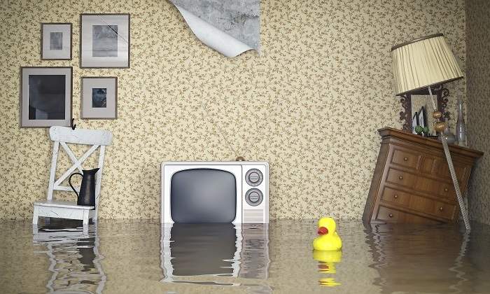 inundacion-pato-casa.jpg