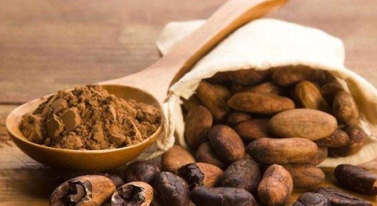 cacao