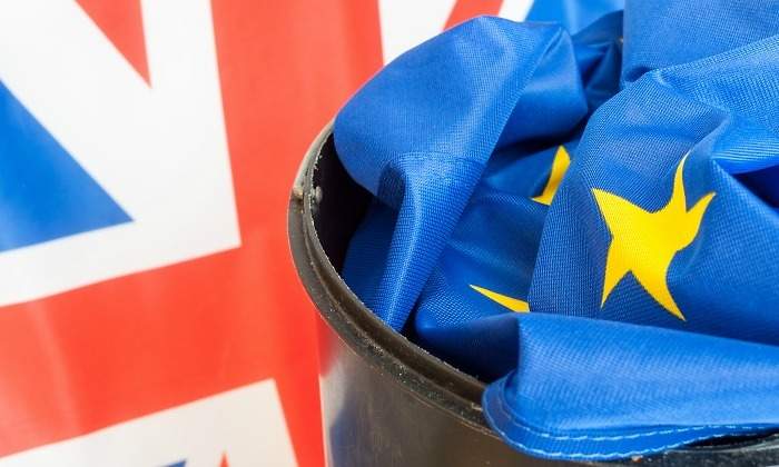 brexit-bandera-papelera.jpg