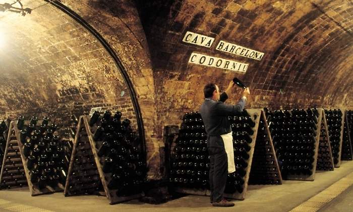 codorniu-cava-trabajador-getty.jpg