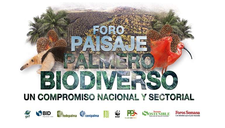 foro-paisaje-semana