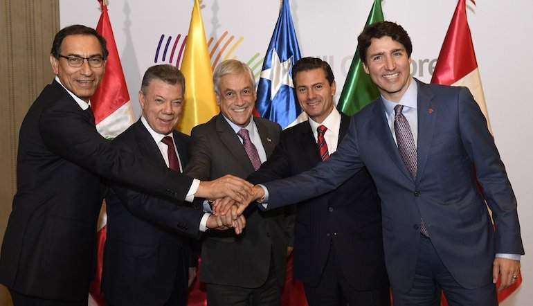 pinerapacifico.jpg