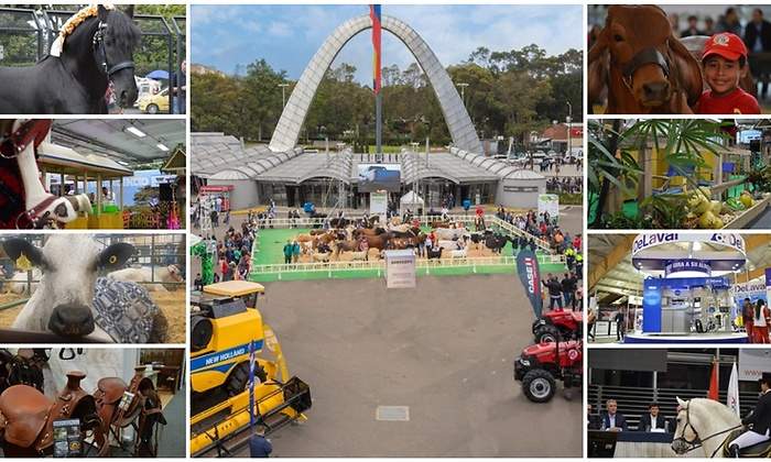 agroexpo fin