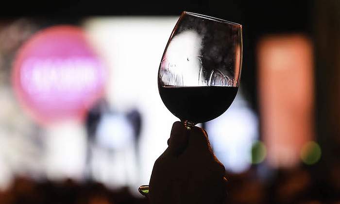 vino.jpg