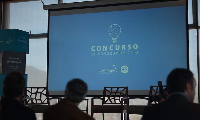 concursosilvo.jpg
