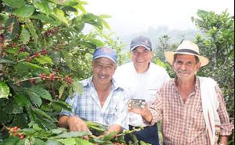 CAFICULTORES