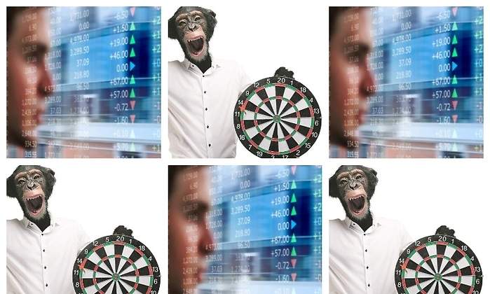 mono-analista.jpg