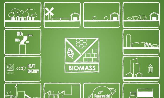 biomasa-dreamstime.jpg