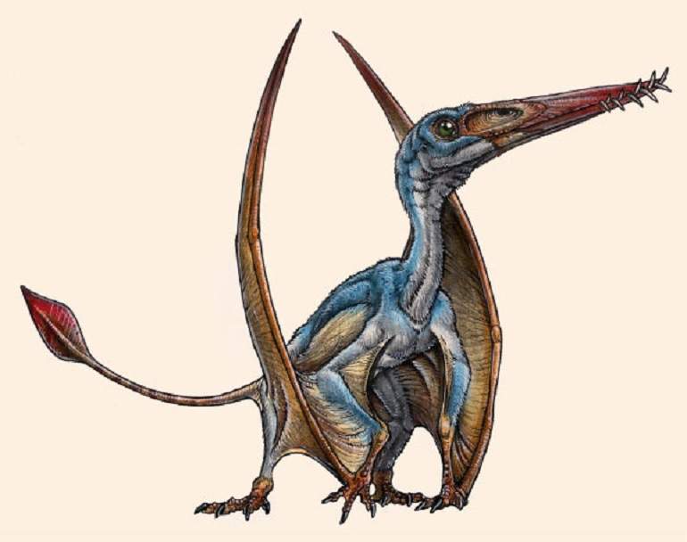 DinoArgentino770.jpg