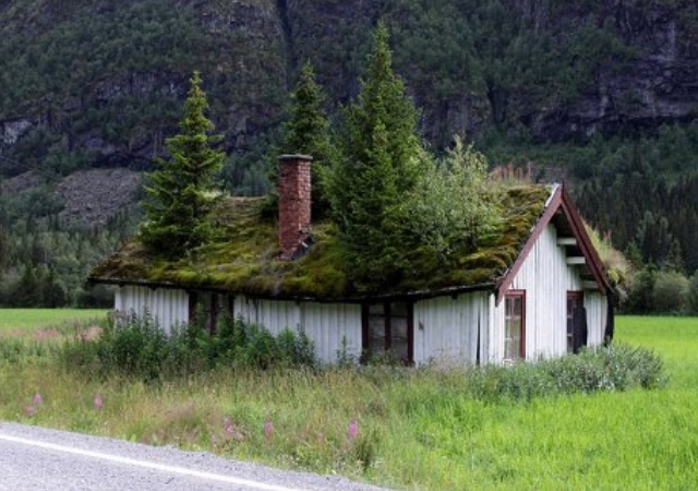 jardintejado-cabeceras.jpg