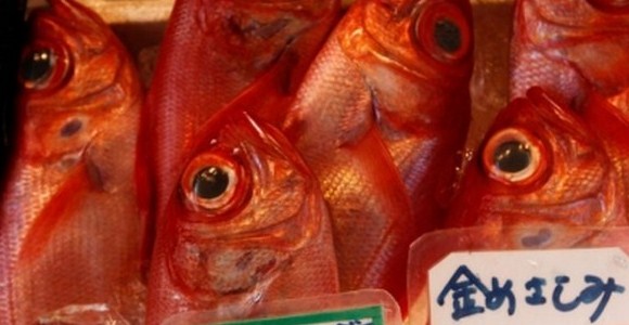 pecesfukushima.jpg