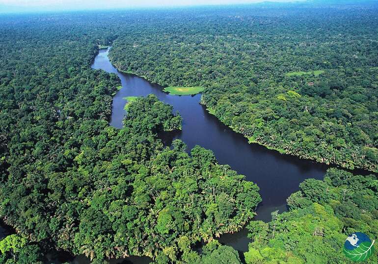 Parque Nacional Tortuguero de Sirenio Fernando Hernández Vaquerizo, Costa Rica
