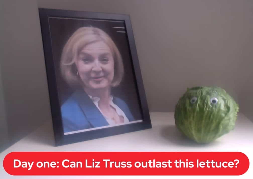 Truss se choca con una lechuga iceberg