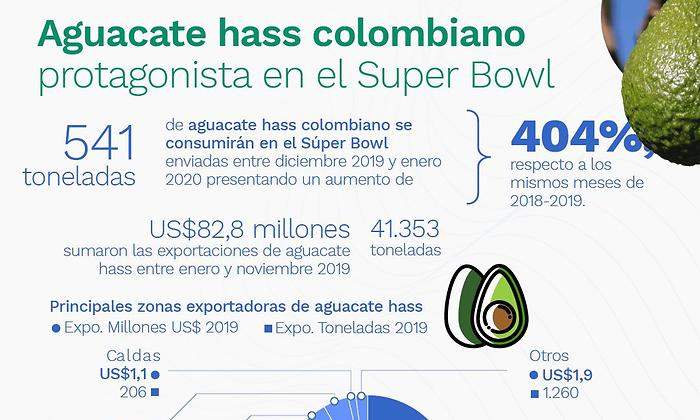 aguacate.jpeg