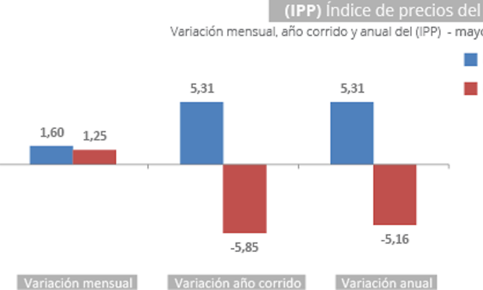 ipp.png