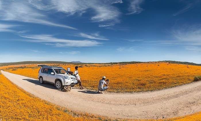 sudafrica-flores.jpg