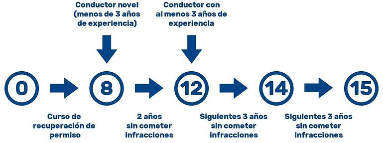 Número de puntos en el carnet de conducir.