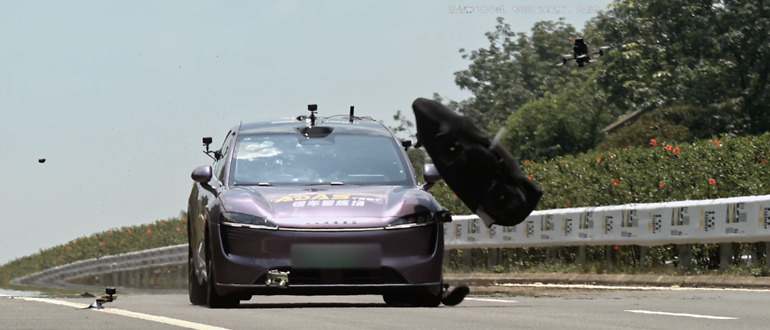Si un jabalí cruza por delante resulta difícil esquivarlo circulando a 130 km/h; solo el Tesla Model 3 (pero no el Model Y) logró evitar el choque