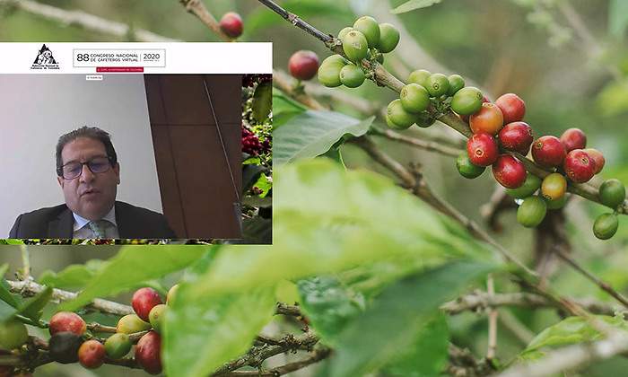 Minagricultura_cafe.jpg