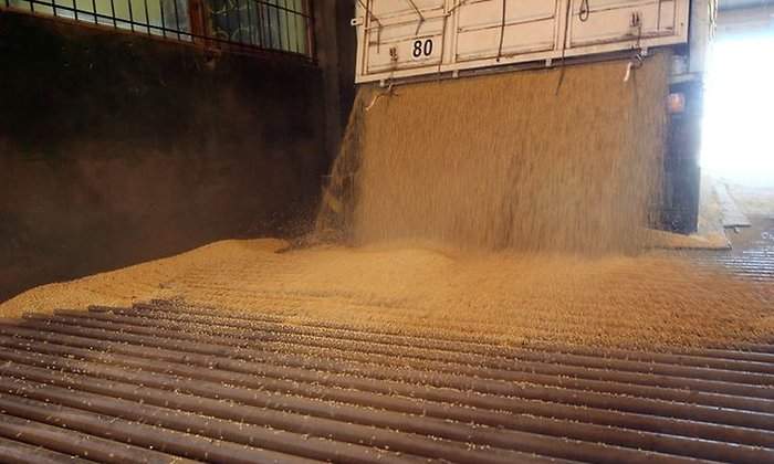 Exportacion-Granos.jpg