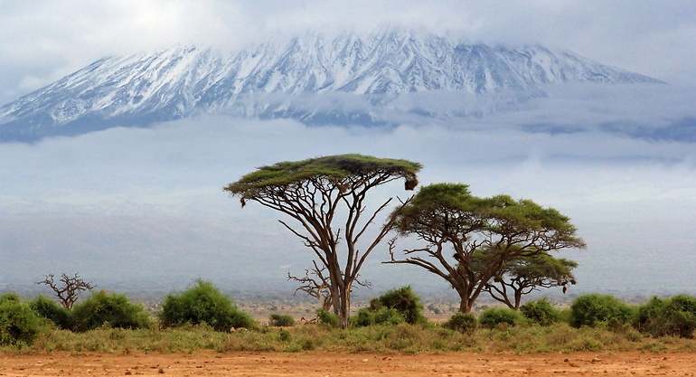 Kenia. Dreamstime.